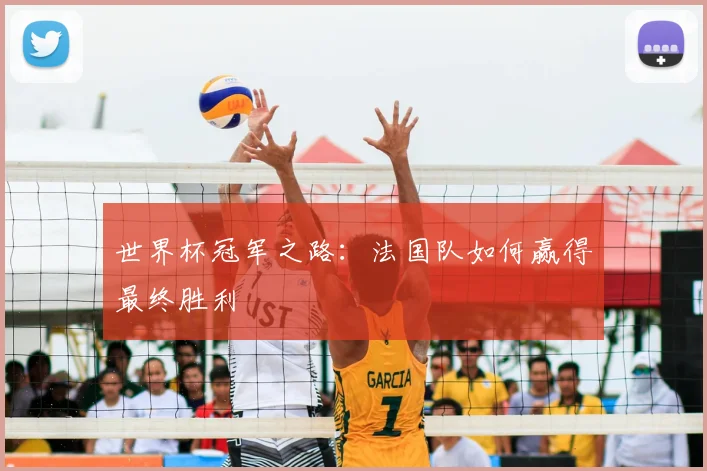 世界杯冠军之路:法国队如何赢得最终胜利