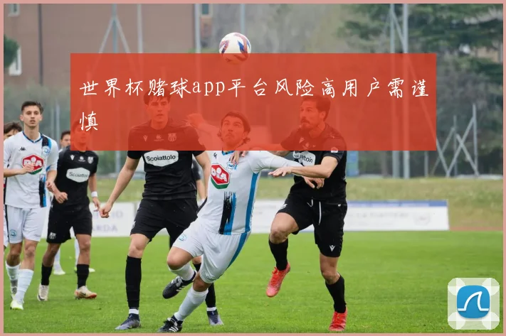 世界杯赌球app平台风险高用户需谨慎