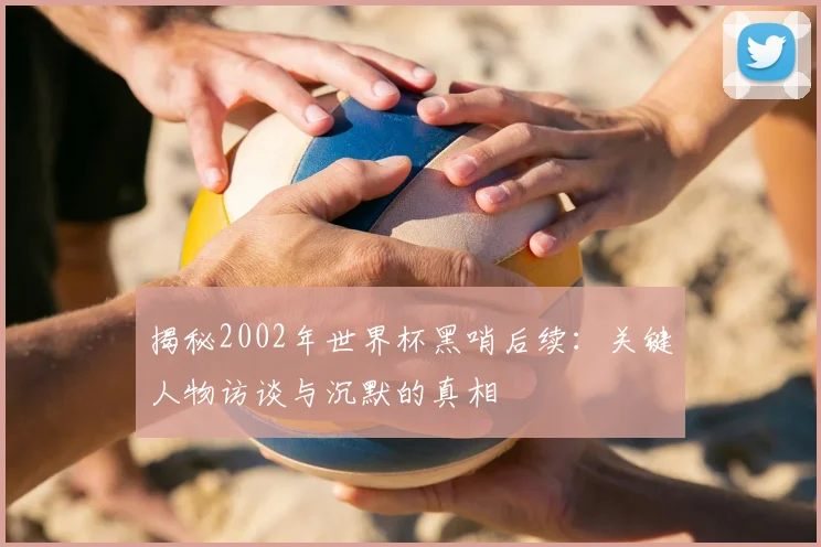 揭秘2002年世界杯黑哨后续:关键人物访谈与沉默的真相